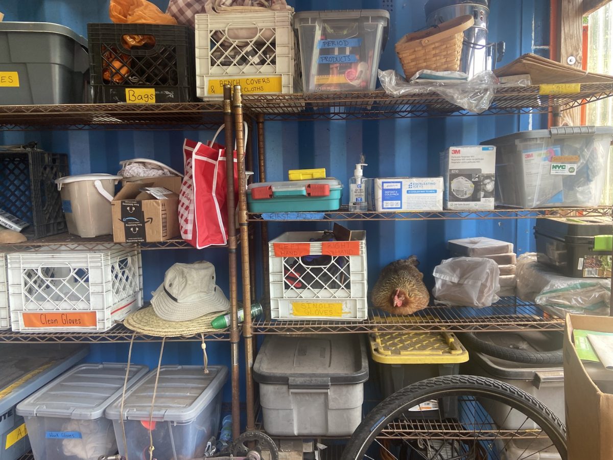 The Joys of Volunteering: Reasons 6-7