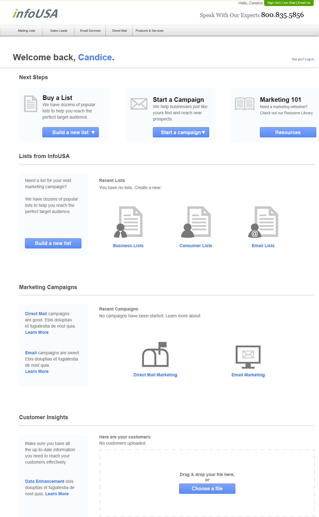 InfoUSA landing page wireframe, alternate version A