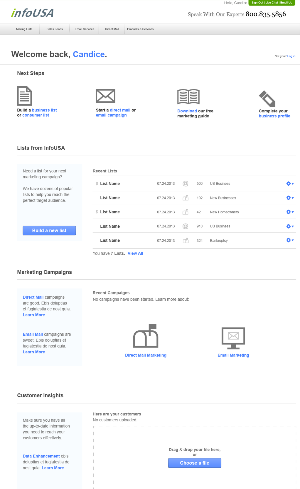 InfoUSA landing page wireframe, alternate version B