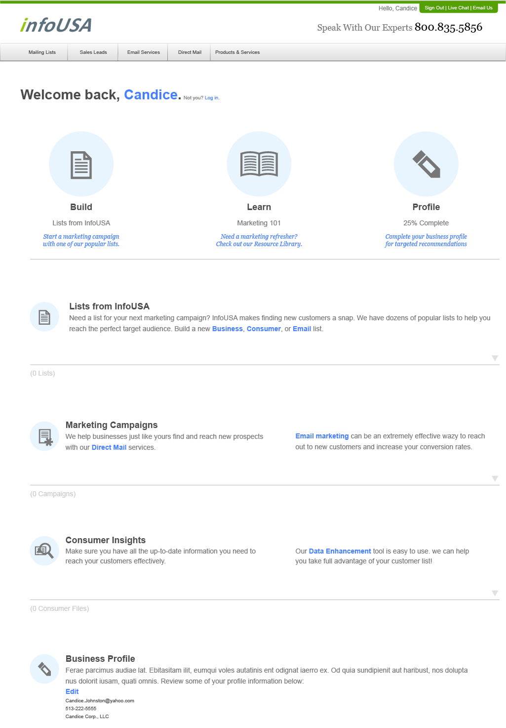 InfoUSA landing page wireframe, alternate version C